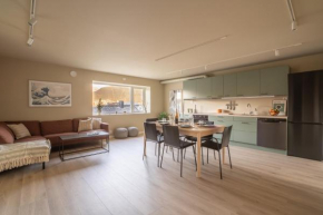 Luxury top floor apartment